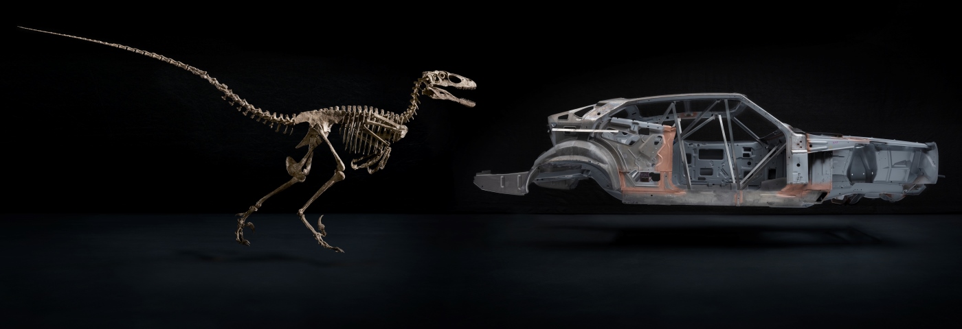 The black-wall photographic studio at Finch Restorations with photo-shopped dinosaur skeleton (Christies Auctions with permission)